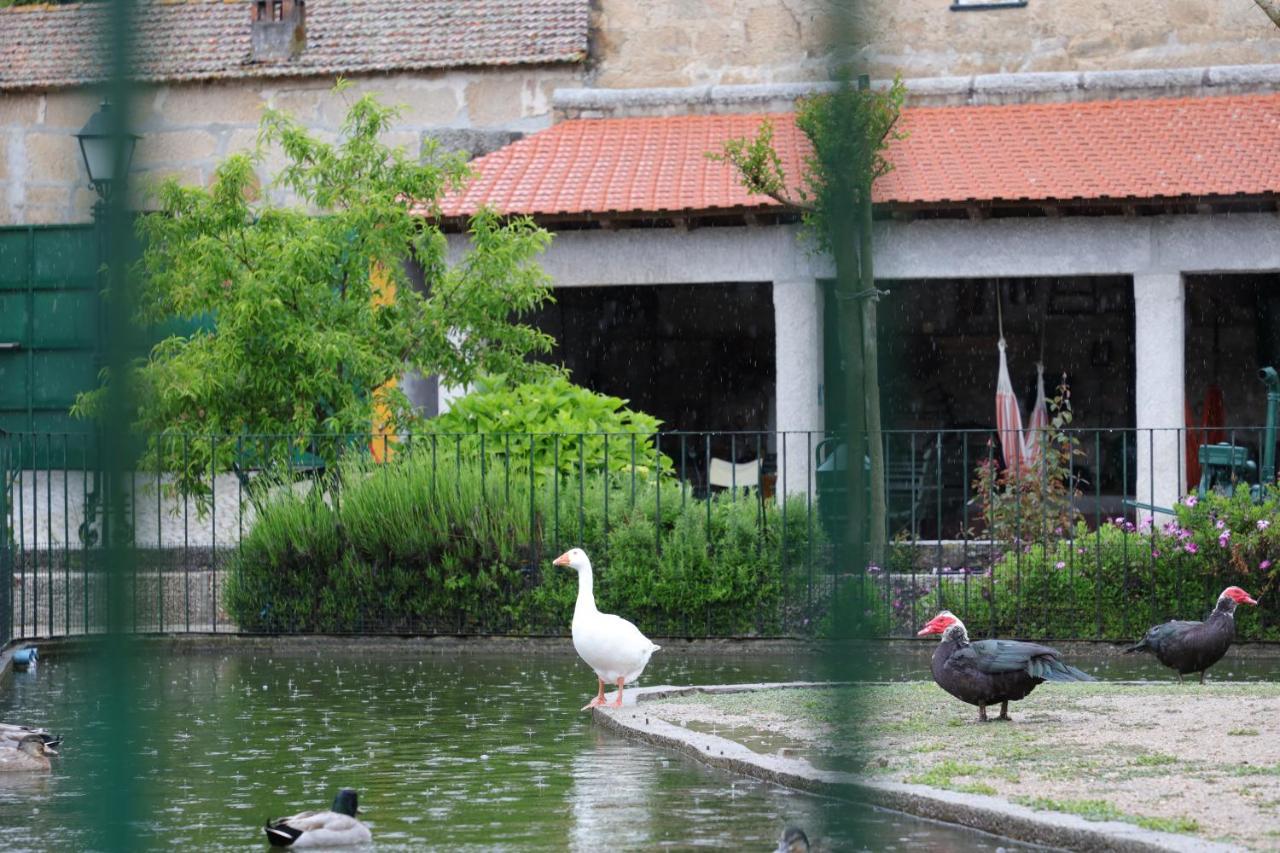 Quinta Dos Patos Villa Pinhanços Eksteriør billede